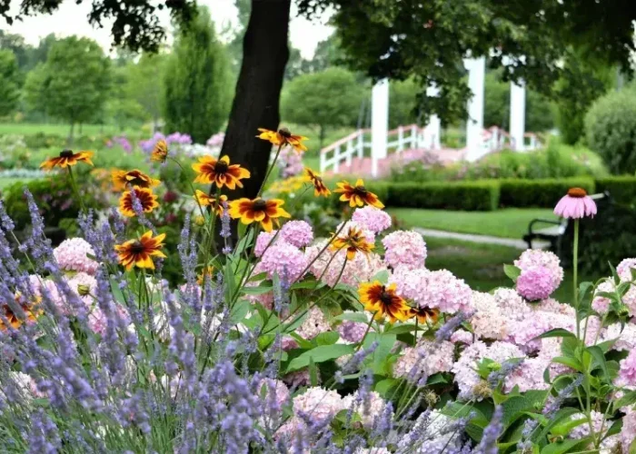 Flower_Garden